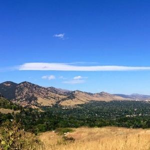 Meet your Posher, Meredith